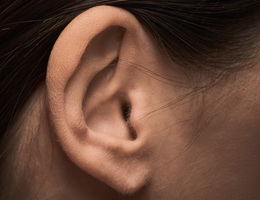 Close-up view of an ear.